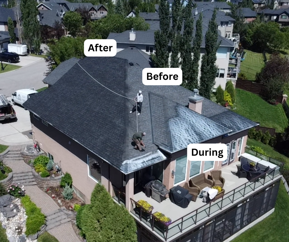 Hip roof — full rejuvenation